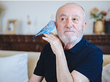 Man in 60s holding a pet bird near his ear